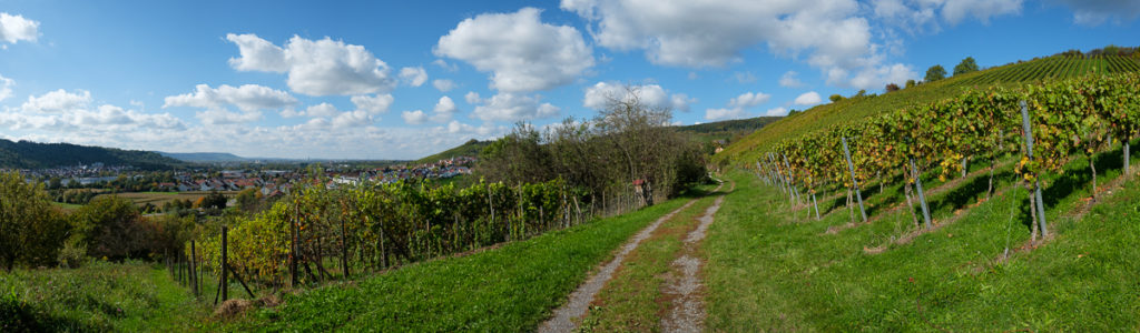 Panorama Weinberg mit Feldweg