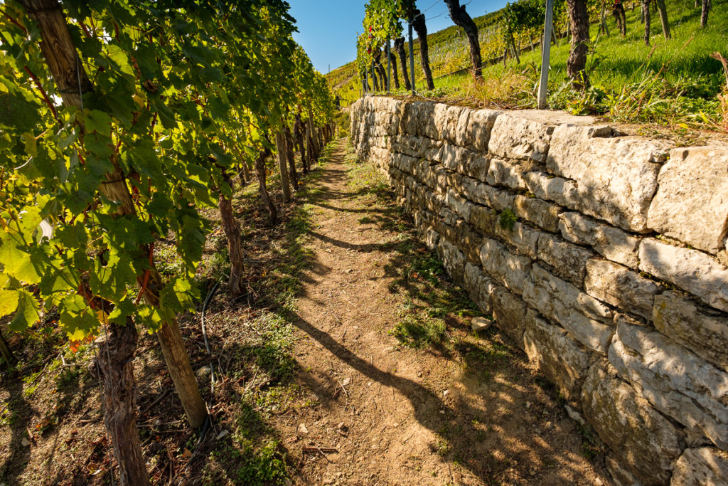 Wanderweg zur Käsbergkanzel