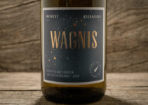 Wagnis Chenin blanc 2019 – Weingut Sterneisen