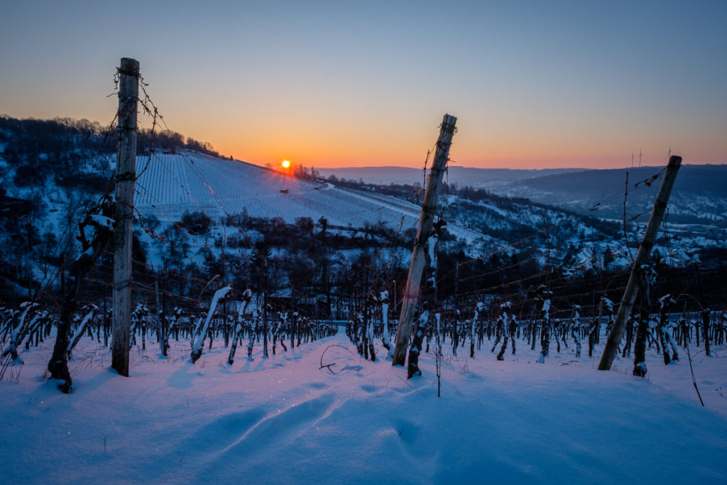 Wein im Remstal - Winter