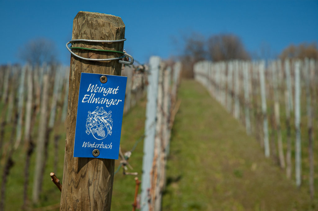 Weingut Ellwanger - Weinberg