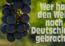 Wer hat den Wein nach Deutschland gebracht?