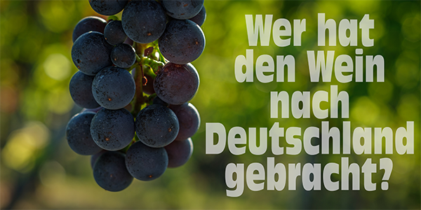 Wer hat den Wein nach Deutschland gebracht?