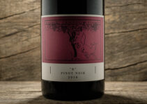 „B“ Pinot Noir 2016 – Weingut Friedrich Becker