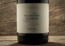 Fellbacher Goldberg Pinot Noir 2019 – Weingut Heid