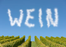 Warum heißt der Wein Wein?