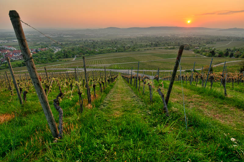 Sonnenaufgang vom Kappelberg